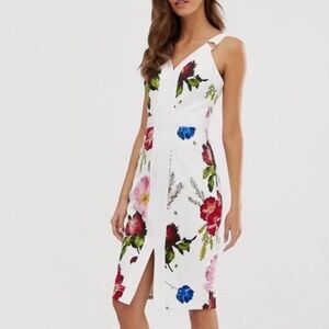NWT Ted Baker Amylia bodycon Dress in Berry Sundae, Size 0
